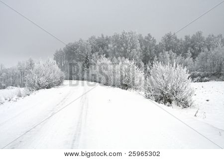 Paisaje nevado winterroad