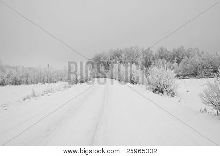 Paisaje nevado winterroad