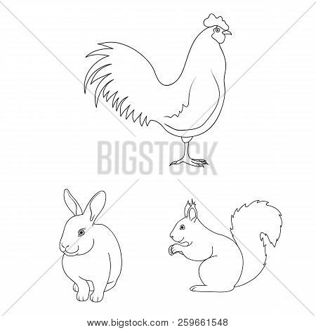 Realistic Animals Outline Icons In Set Collection For Design. Wild And Domestic Animals Vector Symbo
