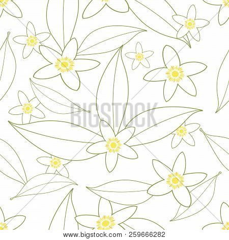 Seamless Pattern Of Orange Blossom Flowers Outlines On White Background