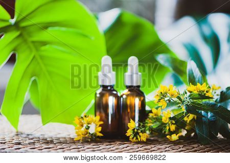 Bottles With St. John's Wort Extract And Flowers Hypericum, Organic Cosmetics With Herbal Extracts