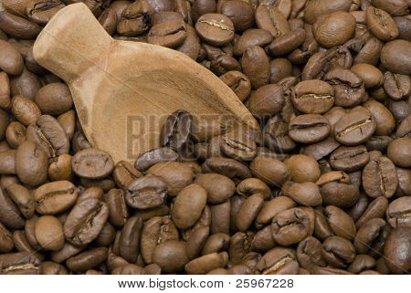 eXpresso