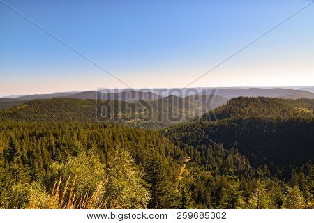 Beautiful Black Forest In Germany Baden Wuerttemberg