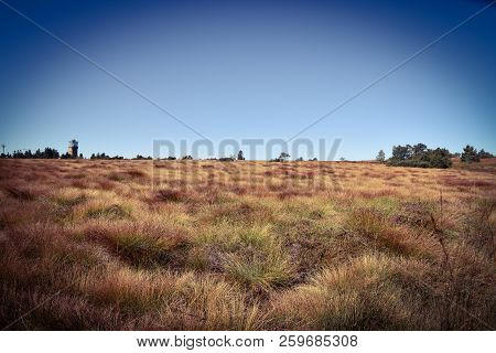 Beautiful Black Forest In Germany Baden Wuerttemberg
