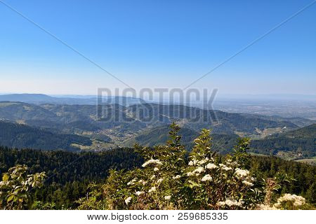 Beautiful Black Forest In Germany Baden Wuerttemberg