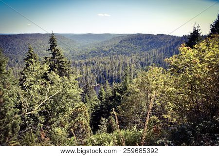 Beautiful Black Forest In Germany Baden Wuerttemberg