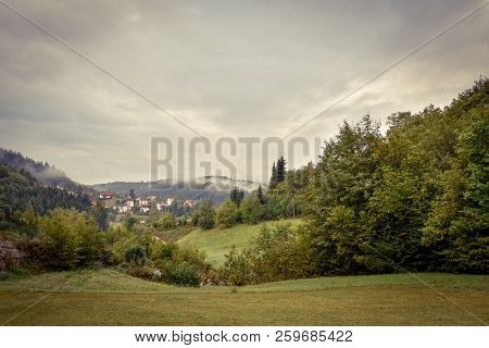 Beautiful Black Forest In Germany Baden Wuerttemberg