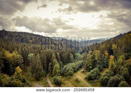 Beautiful Black Forest In Germany Baden Wuerttemberg