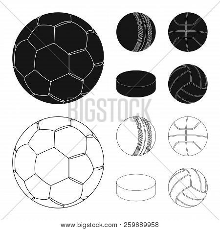 Vector Illustration Of Sport And Ball Icon. Collection Of Sport And Athletic Stock Vector Illustrati