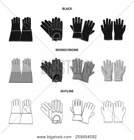 Vector Design Of Glove And Winter Icon. Collection Of Glove And Equipment Vector Icon For Stock.