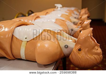 Human Body Mold Beige Color For First Aid Training, Fashionable Mannequin From Plastic, 3d Fashion M