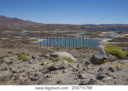 Lagunas De Cotacani In Lauca National Park High On The Altiplano Of Northern Chile.
