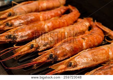 Row Of Whole Large Langoustine Set Of Fresh Seafood Closeup On Grill Grill Background