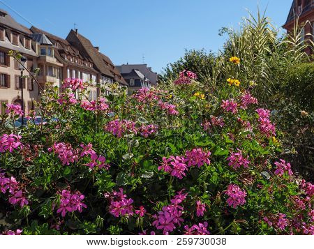 the City of weissenburg in the French alsace
