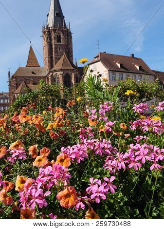 the City of wissembourg in the French alsace