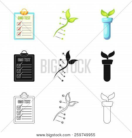 Isolated Object Of  And  Logo. Collection Of  And  Vector Icon For Stock.
