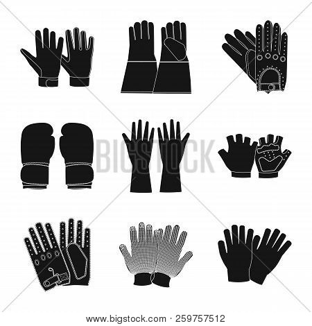 Vector Design Of Glove And Winter Sign. Collection Of Glove And Equipment Vector Icon For Stock.