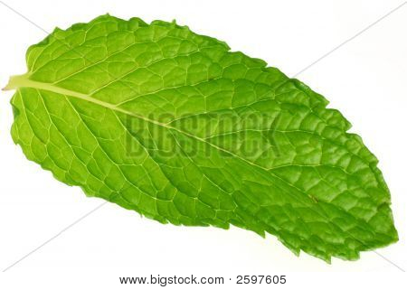 Menthe yaprak