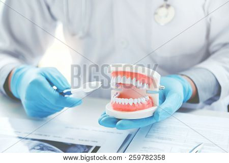Dentist Learning How To Brush Teeth Concept