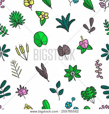 Leaves And Foliage Floral Frondage, Seamless Pattern Vector