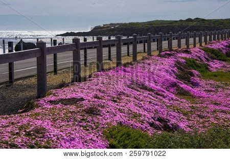 Viaduct Road Turns Pink In Warrnambool, Victoria, Australia