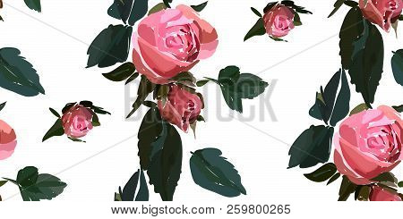 Floral Seamless Background Pattern. Watercolor Pink Garden Roses In Hand Drawn Style. Elegant Flower