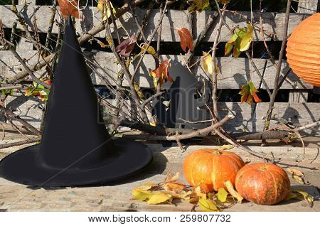 Hat Of Witch On With A Pumpkin For Halloween