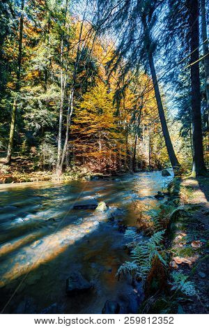 Wild River Doubrava, Autumn Landscape