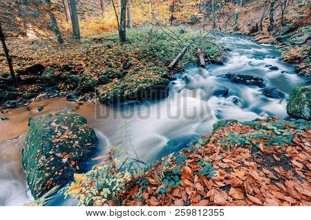 Wild River Doubrava, Autumn Landscape