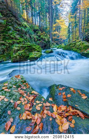Wild River Doubrava, Autumn Landscape