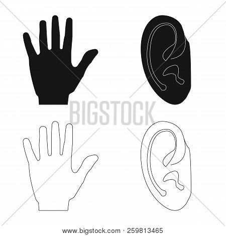 Isolated Object Of Human And Part Icon. Set Of Human And Woman Vector Icon For Stock.