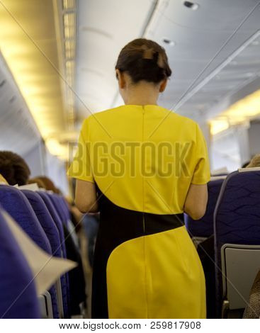 Flying Attendants ,air Hostess