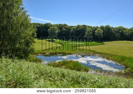 Charming Pond In The Picturesque Park At Malcantone Valley On The Swiss Alps