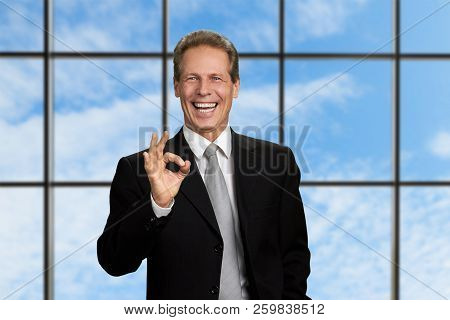 Happy Businessman Showing Ok Sign. Joyful Male Corporate Gesturing With Fingers Ok On Blue Sky Windo