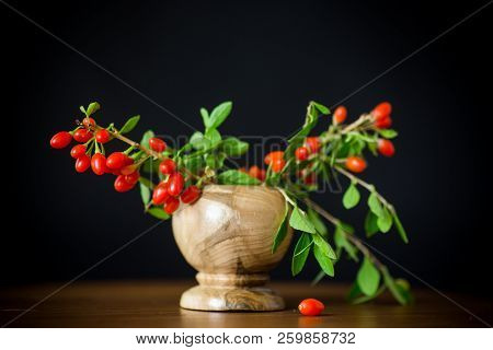 Red Ripe Goji Berry On A Branch Isolated On A Black