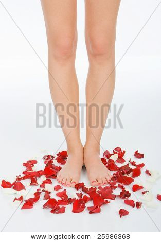 Womans belle gambe