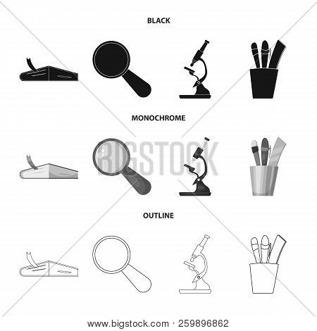 Isolated Object Of Education And Learning Sign. Set Of Education And School Stock Vector Illustratio