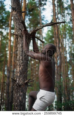 Male Black With No Shirt Climbs A Tree