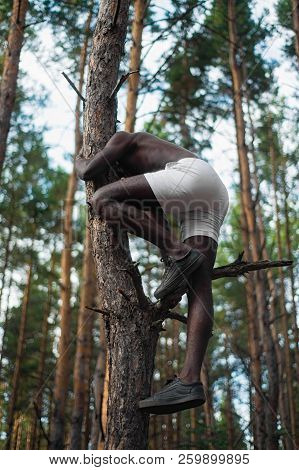 Male Black With No Shirt Climbs A Tree