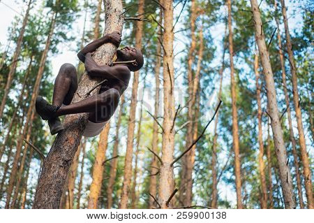 Male Black With No Shirt Climbs A Tree