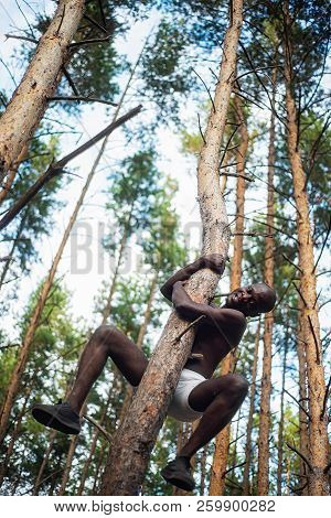 Male Black With No Shirt Climbs A Tree