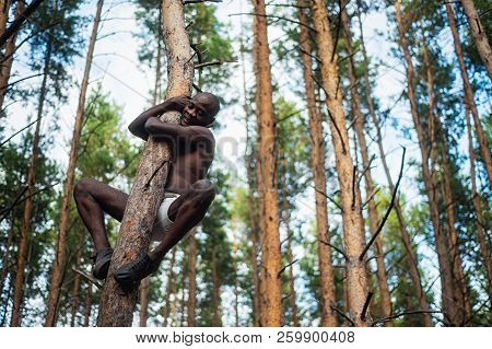 Male Black With No Shirt Climbs A Tree