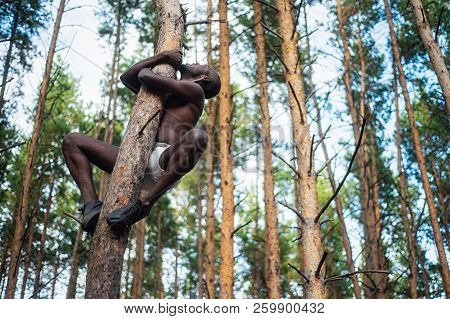 Male Black With No Shirt Climbs A Tree
