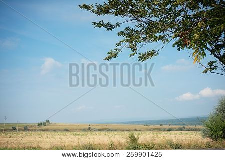Summer Landscape With Fields, Meadows And Cloudy Sky