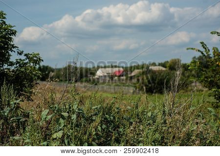 Summer Landscape With Fields, Meadows And Cloudy Sky