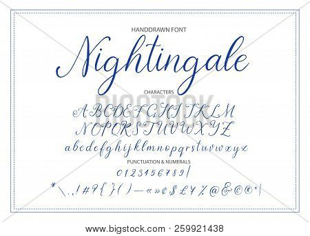 Nightingale. Handdrawn Calligraphic Vector Font. Modern Gentle Calligraphy.