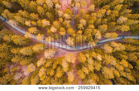 Road In Autumn Forest. Road In Yellow Forestview Frome Above. Transportation Background.