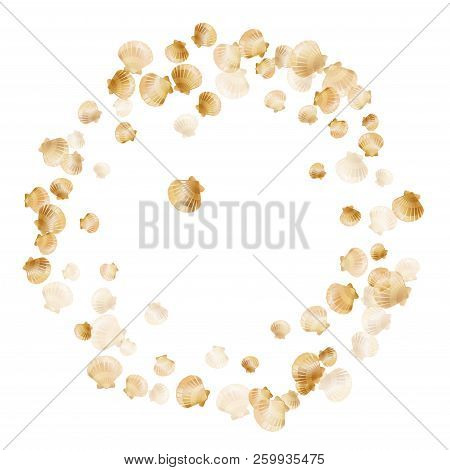 Gold Seashells Vector, Golden Pearl Bivalved Mollusks. Cute Scallop, Bivalve Pearl Shell, Marine Mol
