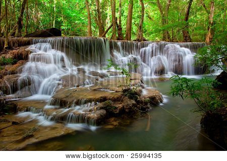 Cascata nella foresta profonda
