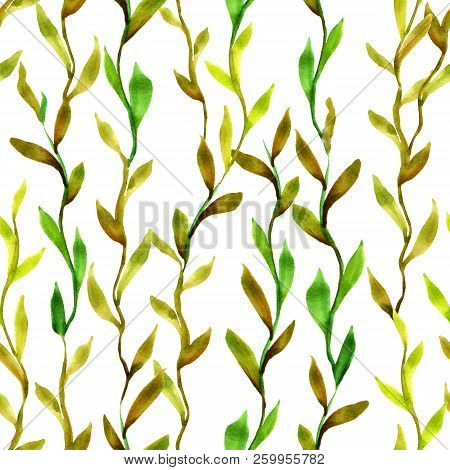 Simlpe Seamless Seaweed Pattern. Abstract Watercolor Free Hand Drawn Illustration For Wrapping, Back